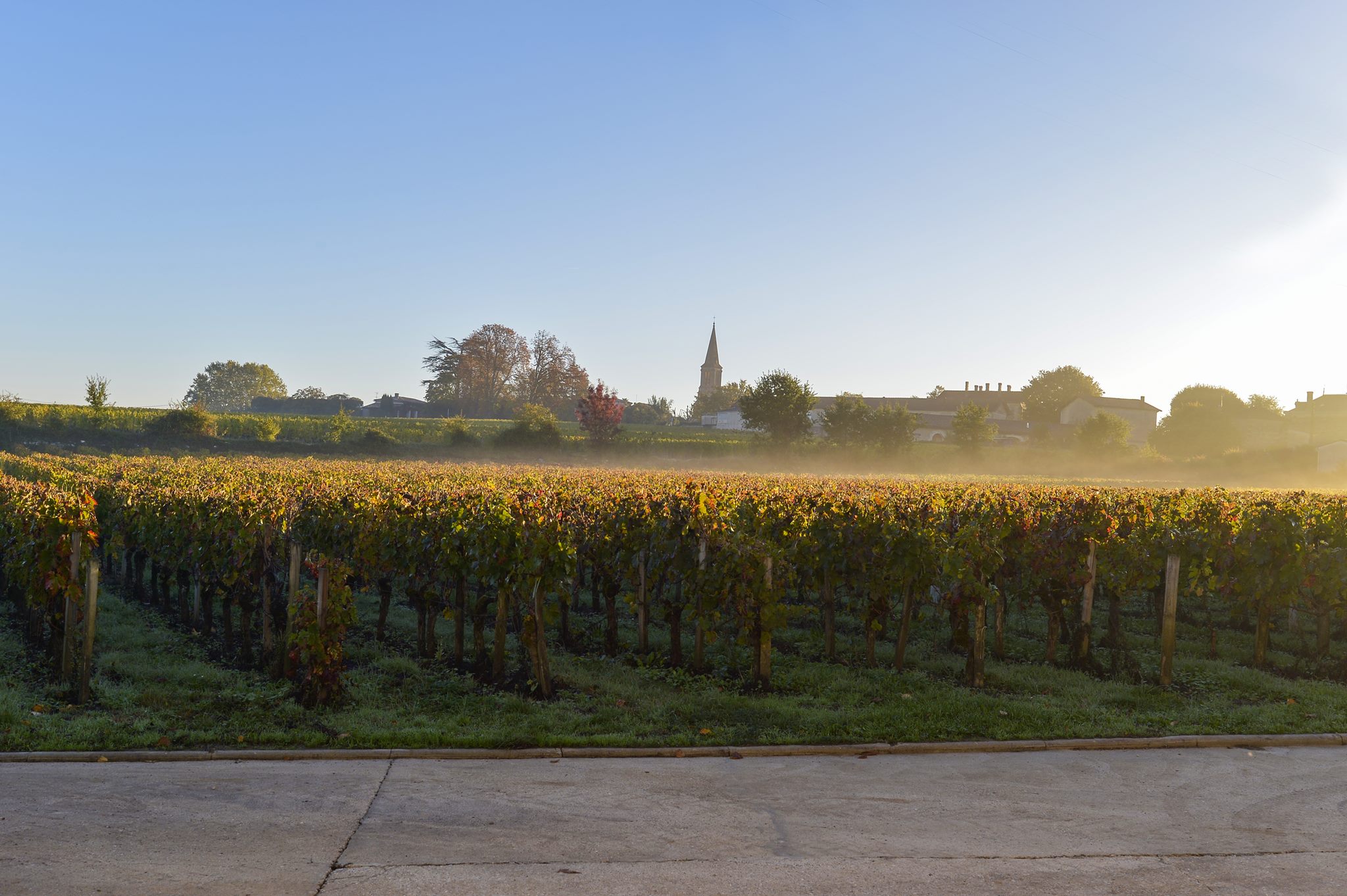 Vignobles Carles