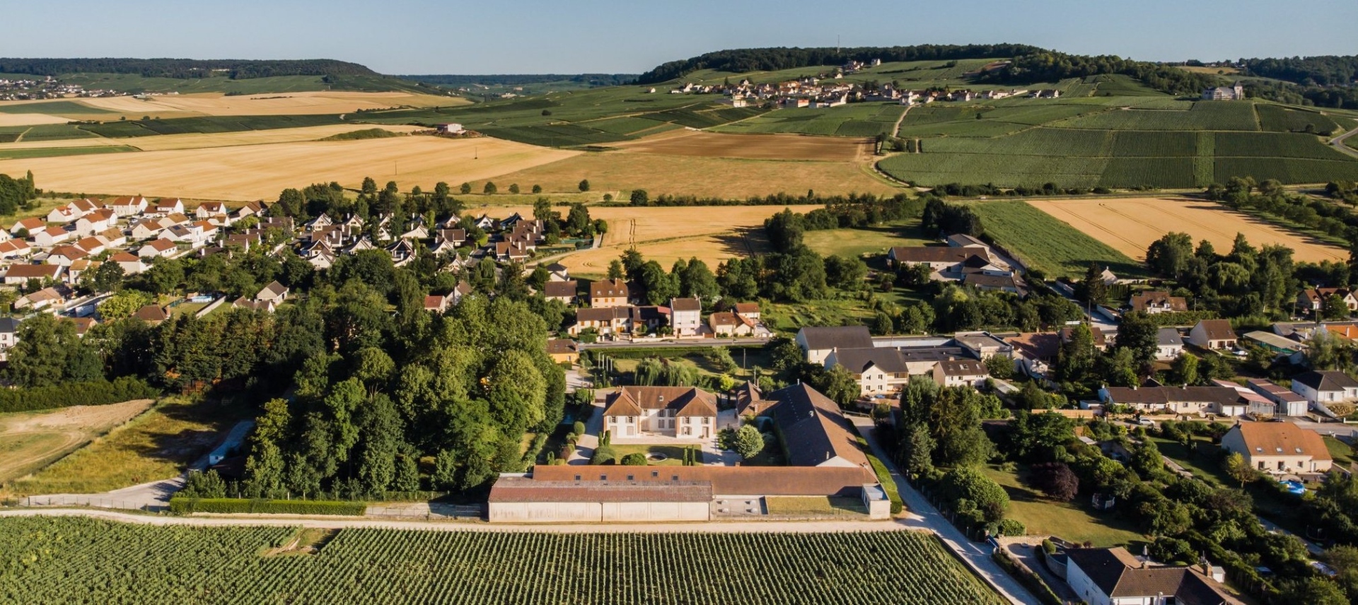 Domaine R. Renaudin