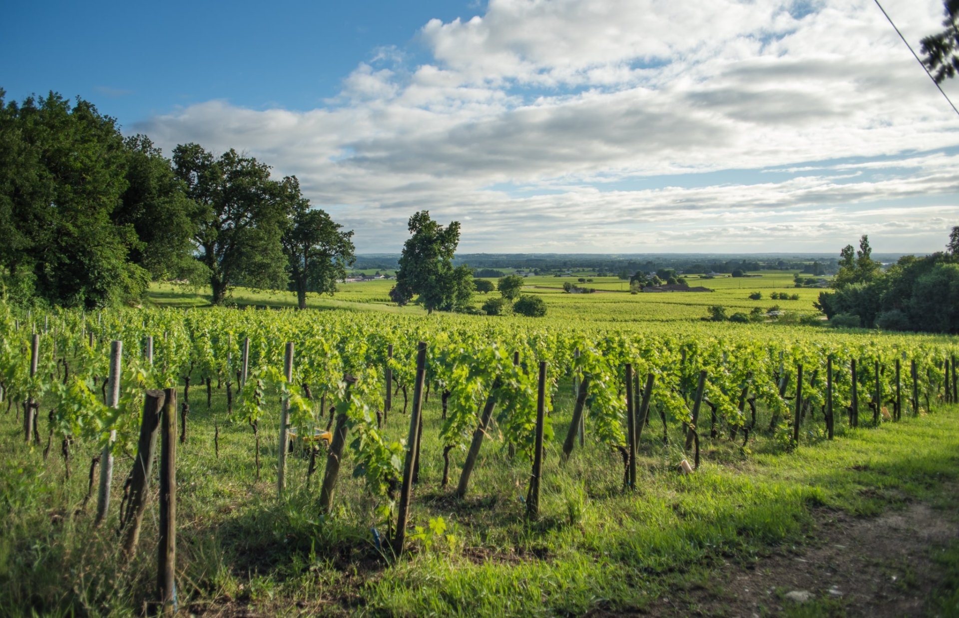 Château Coutet
